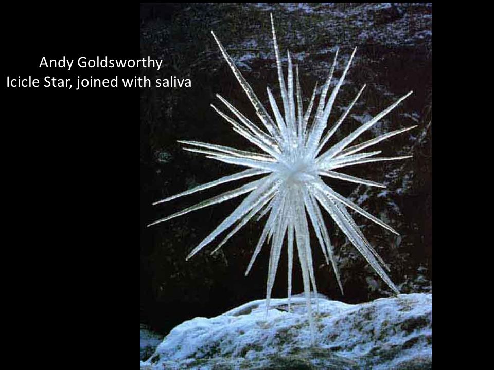 Icicle Star, joined with saliva