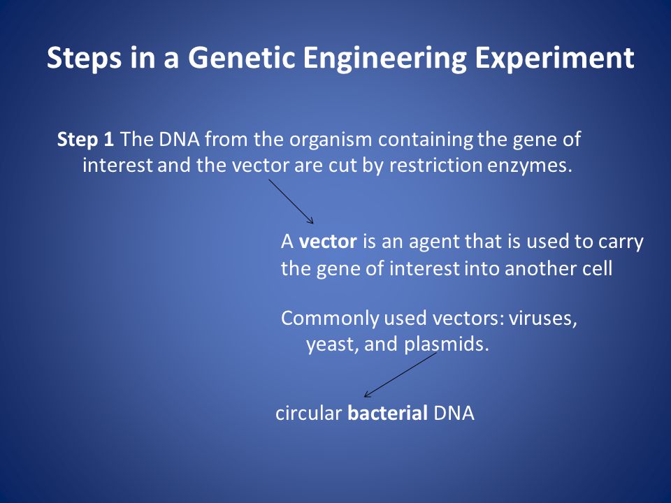 Steps in a Genetic Engineering Experiment