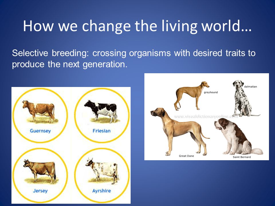 How we change the living world…