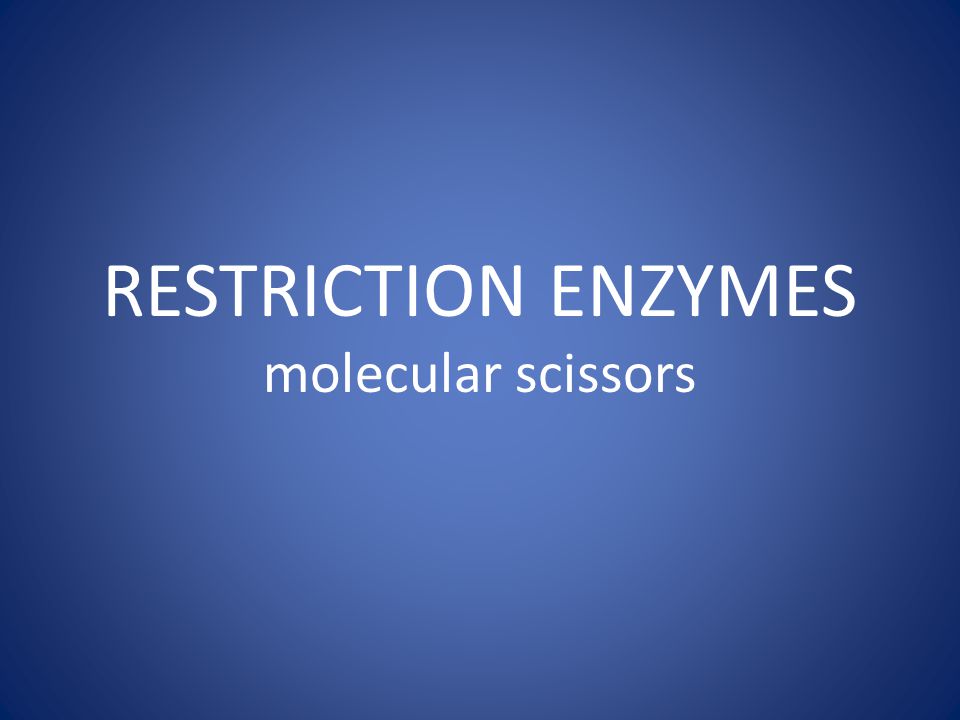 RESTRICTION ENZYMES molecular scissors