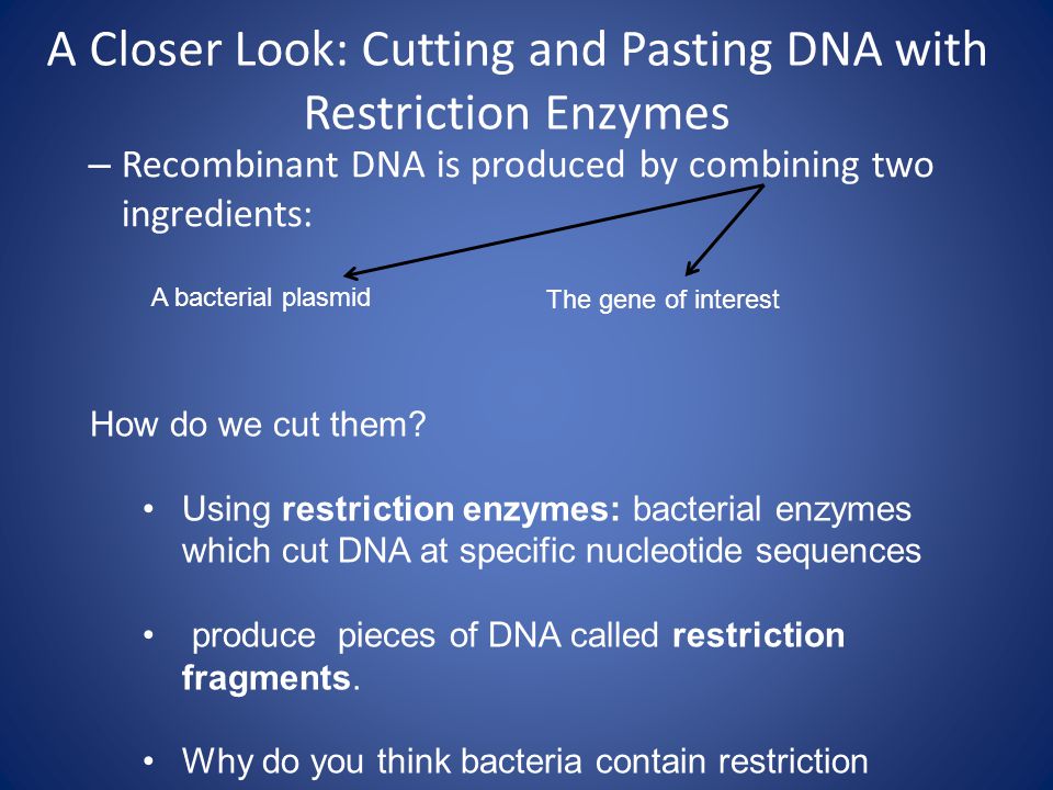 A Closer Look: Cutting and Pasting DNA with Restriction Enzymes