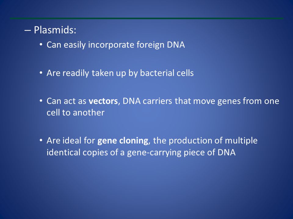 Plasmids: Can easily incorporate foreign DNA