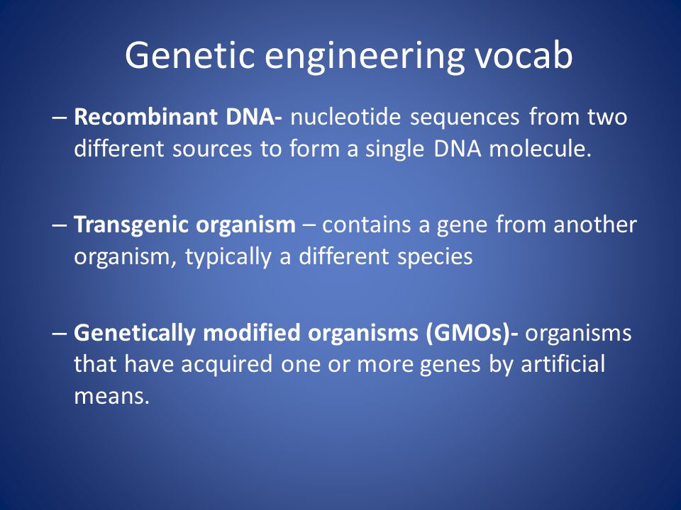 Genetic engineering vocab