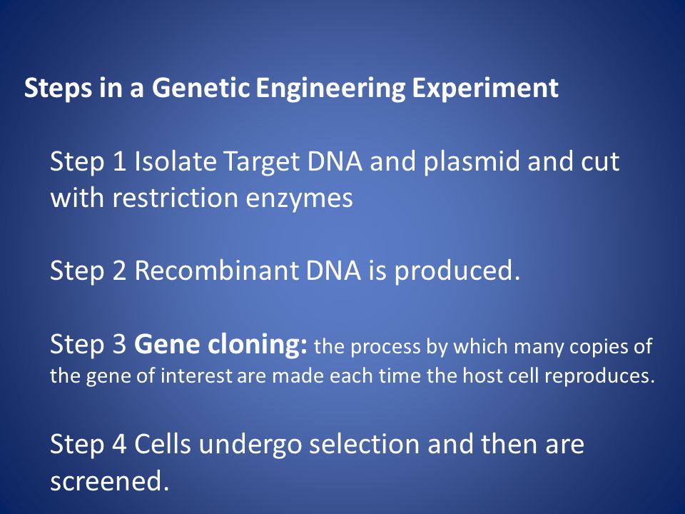 Steps in a Genetic Engineering Experiment