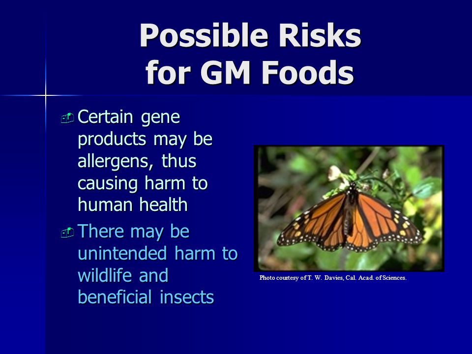 Possible Risks for GM Foods