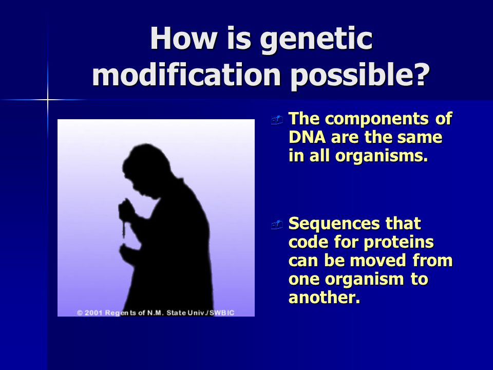 How is genetic modification possible