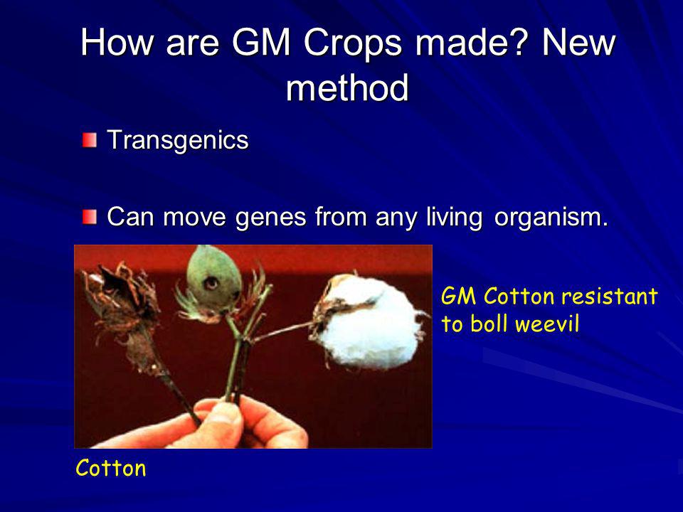 How are GM Crops made New method