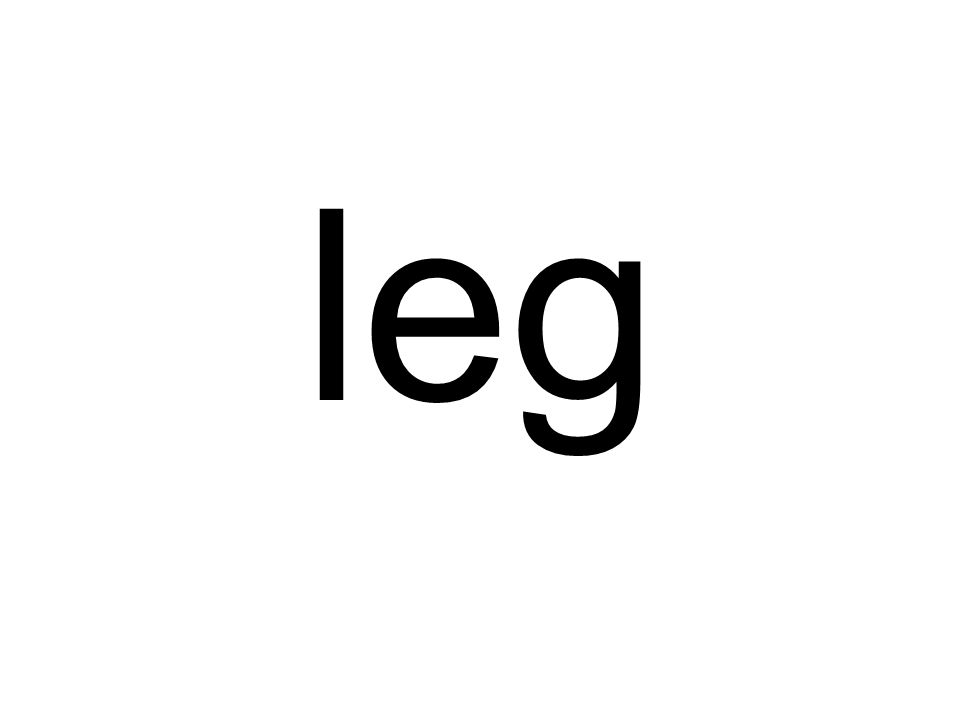 leg