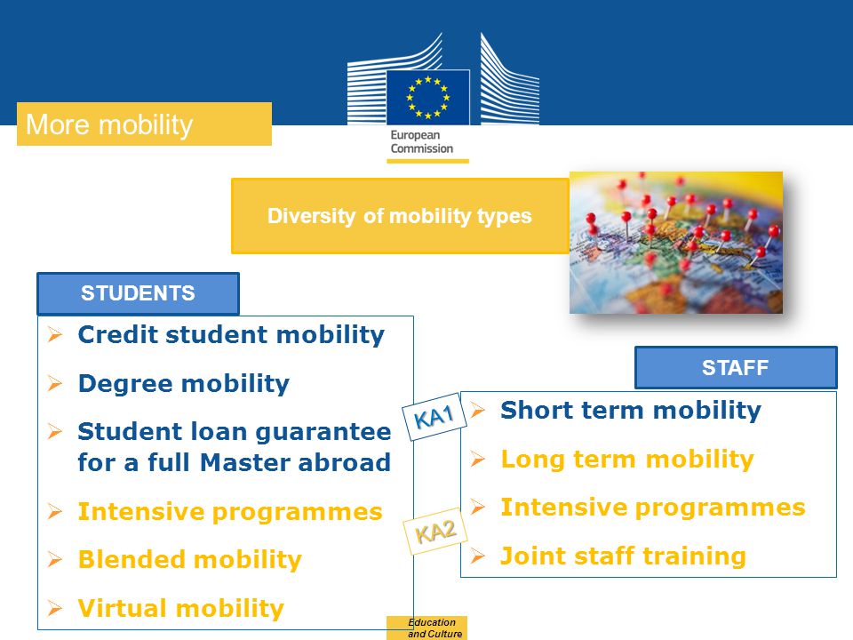 Diversity of mobility types