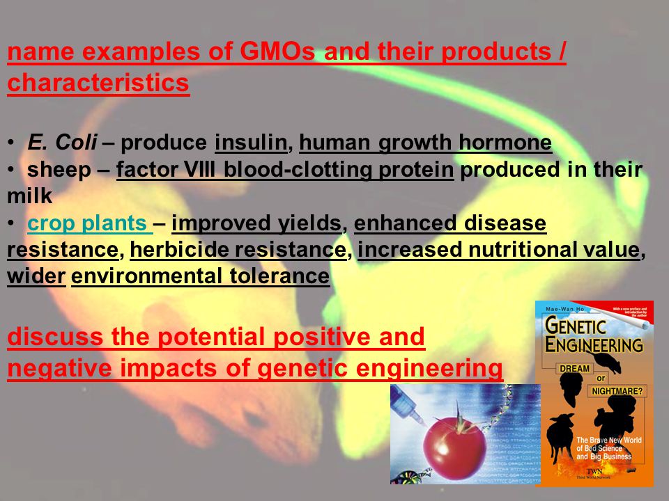 name examples of GMOs and their products / characteristics