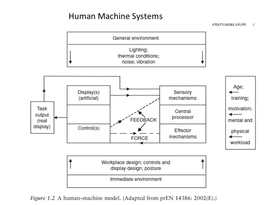 Human Machine Systems Effectors : hands feet and voice ( things that make physical activity possible)