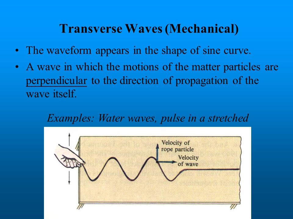 Transverse Waves (Mechanical)