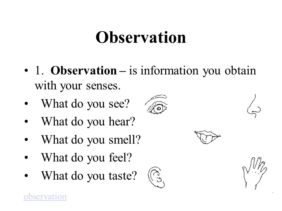 Observation 1. Observation – is information you obtain with your senses. What do you see What do you hear