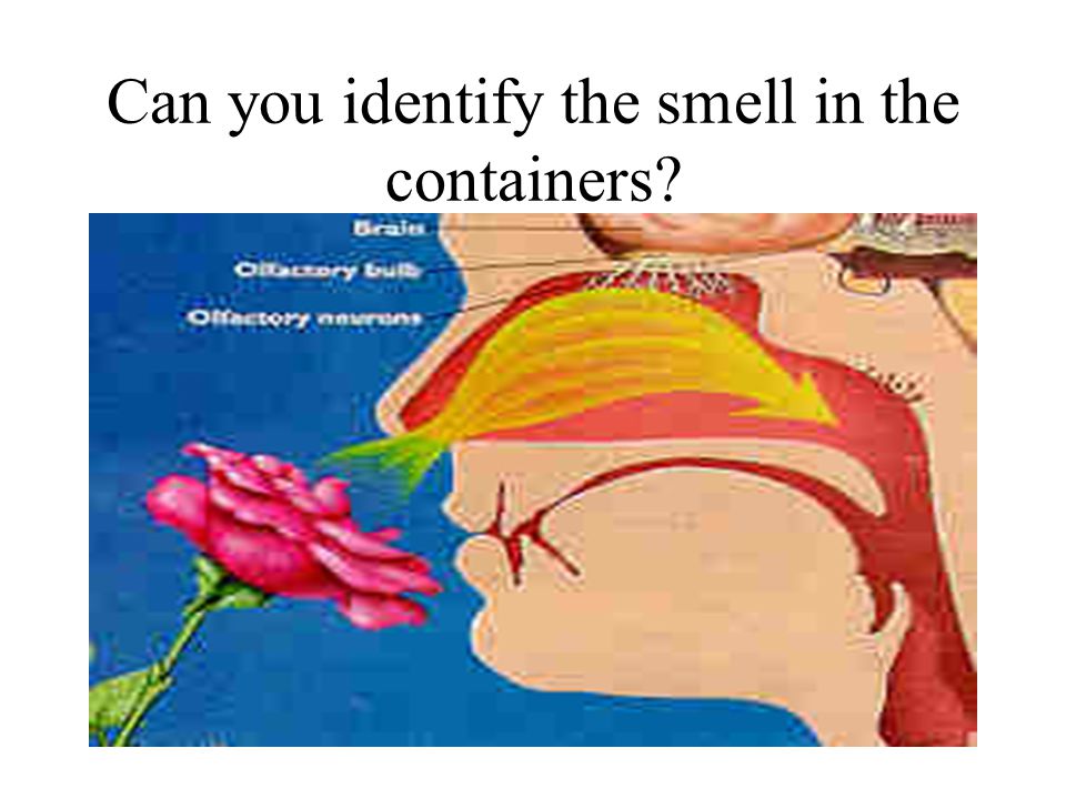 Can you identify the smell in the containers