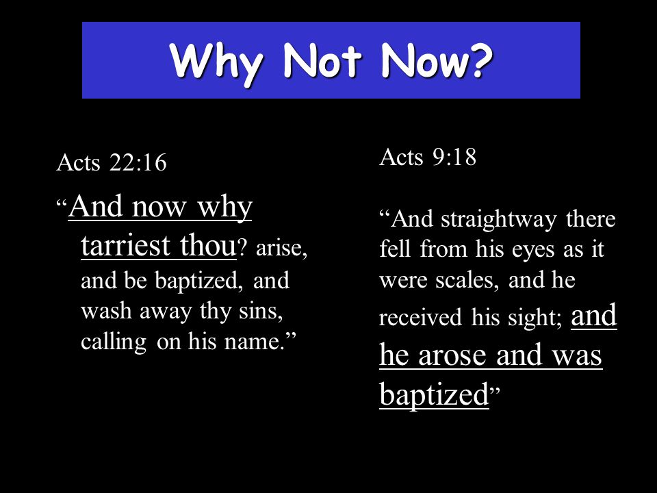Why Not Now Acts 9:18. And straightway there fell from his eyes as it were scales, and he received his sight; and he arose and was baptized
