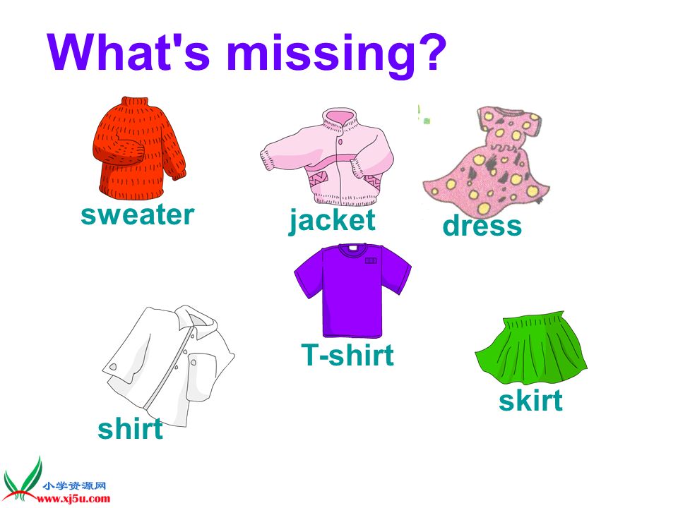 What s missing sweater dress jacket T-shirt shirt skirt