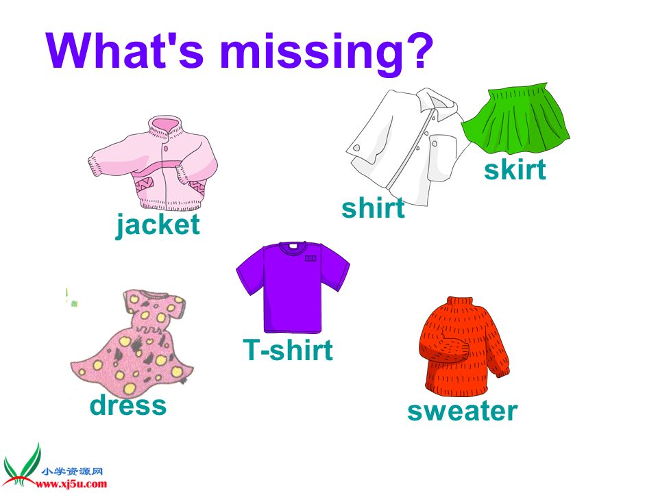 What s missing skirt shirt jacket T-shirt dress sweater