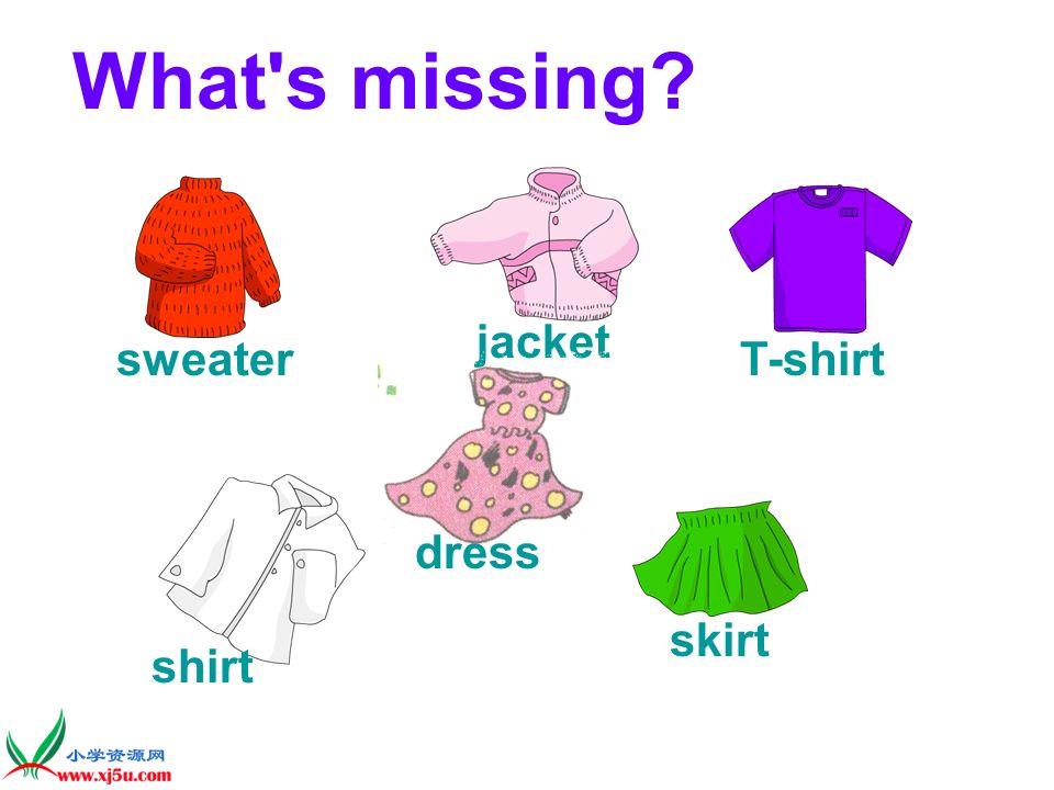 What s missing jacket sweater T-shirt dress shirt skirt