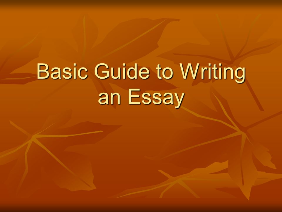 Basic Guide to Writing an Essay