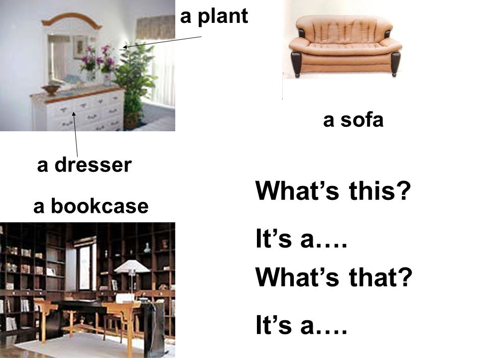 What’s this It’s a…. What’s that It’s a…. a plant a sofa a dresser