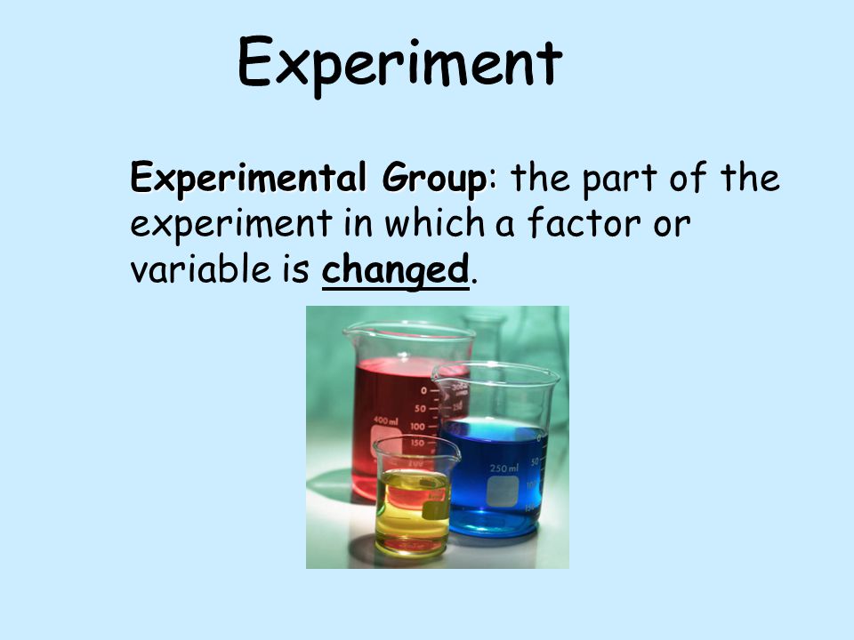 Experiment Experimental Group: the part of the experiment in which a factor or variable is changed.