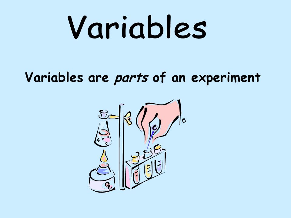 Variables are parts of an experiment