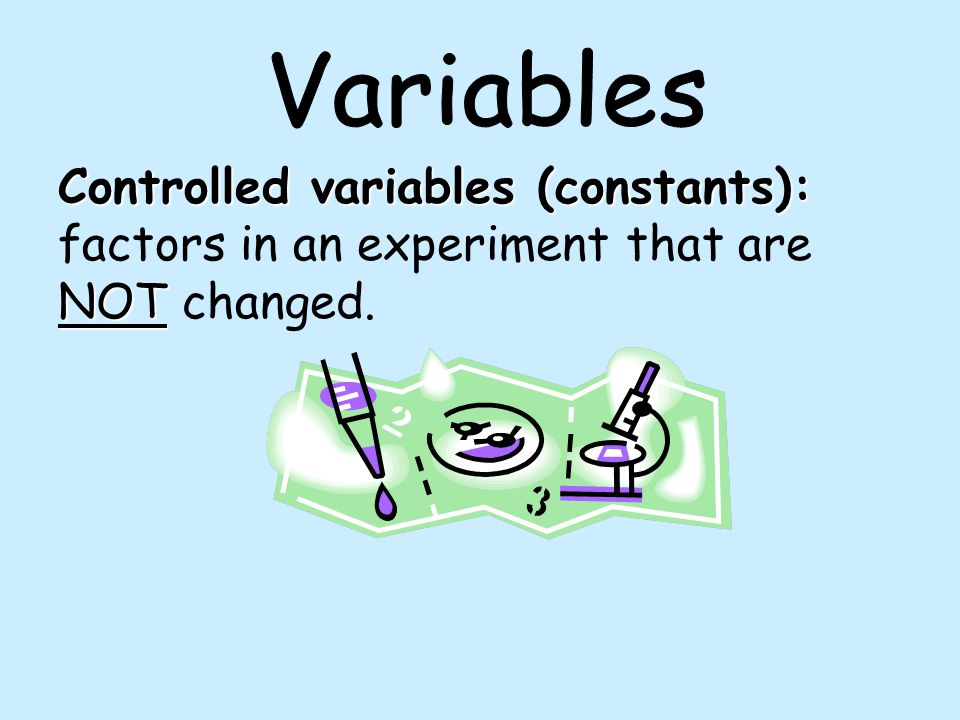 Controlled variables (constants):