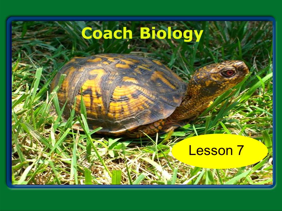 Coach Biology Chapter 1 Lesson 7