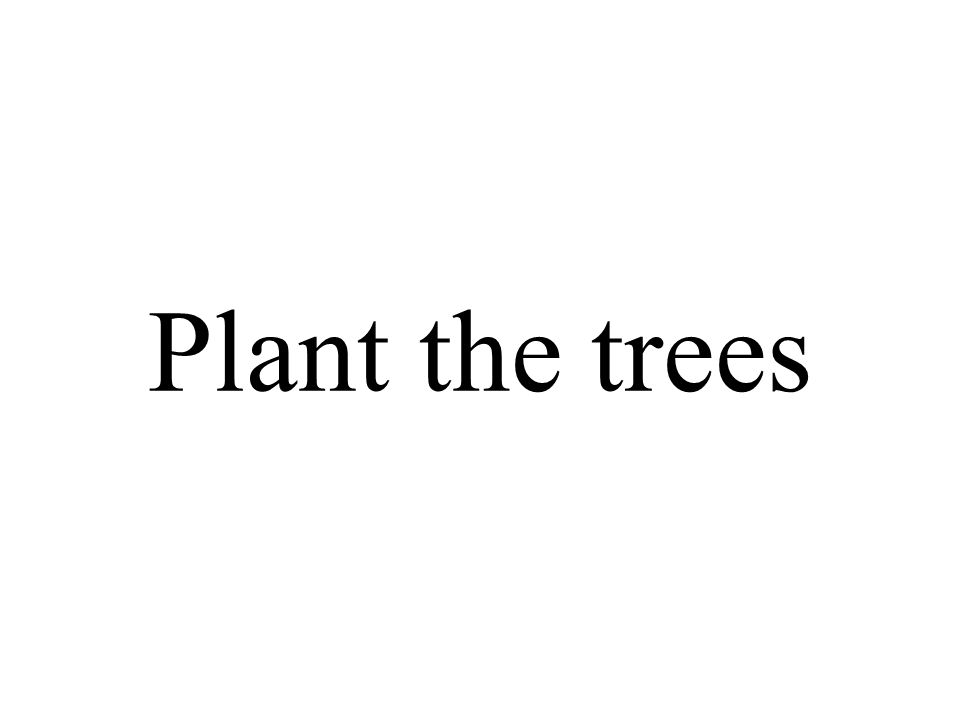 Plant the trees