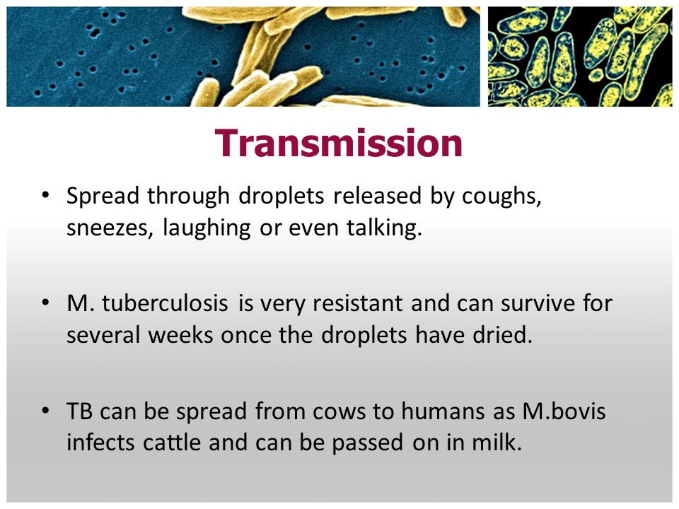 Transmission Spread through droplets released by coughs, sneezes, laughing or even talking.