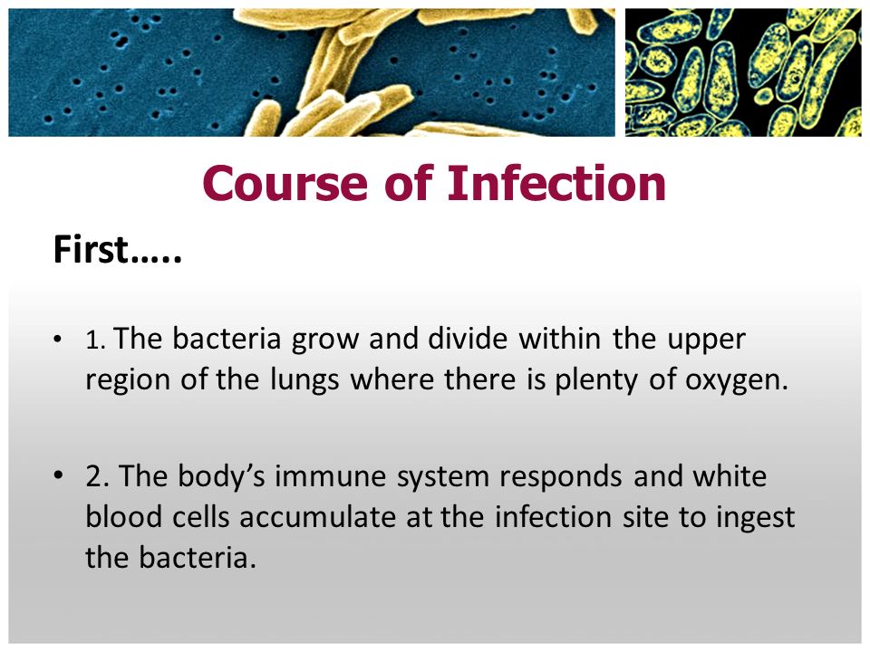 Course of Infection First…..