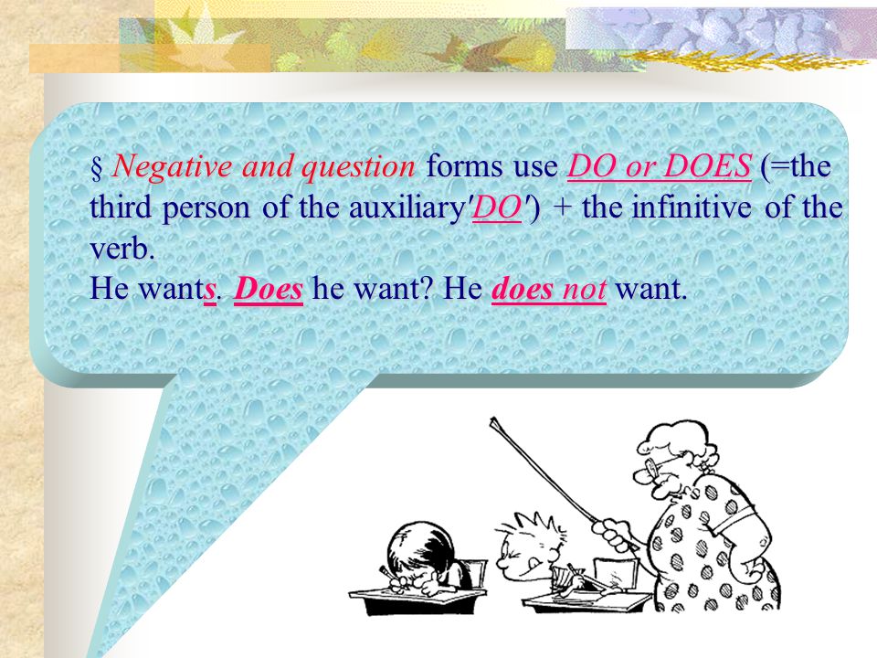 § Negative and question forms use DO or DOES (=the third person of the auxiliary DO ) + the infinitive of the verb.