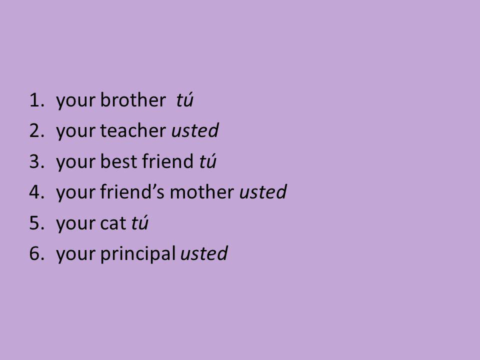 your brother tú your teacher usted. your best friend tú. your friend’s mother usted. your cat tú.