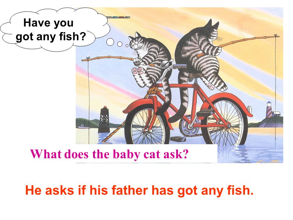 What does the baby cat ask