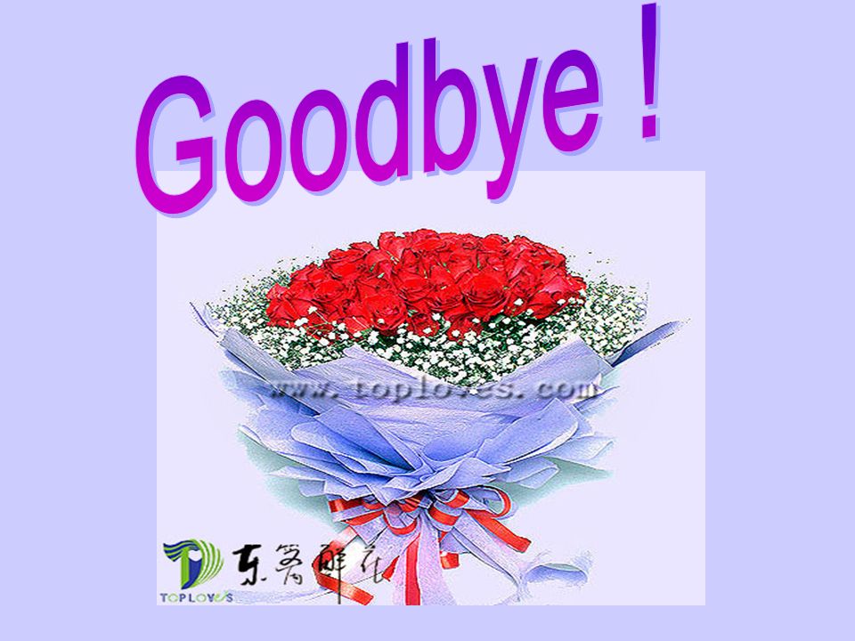 Goodbye !