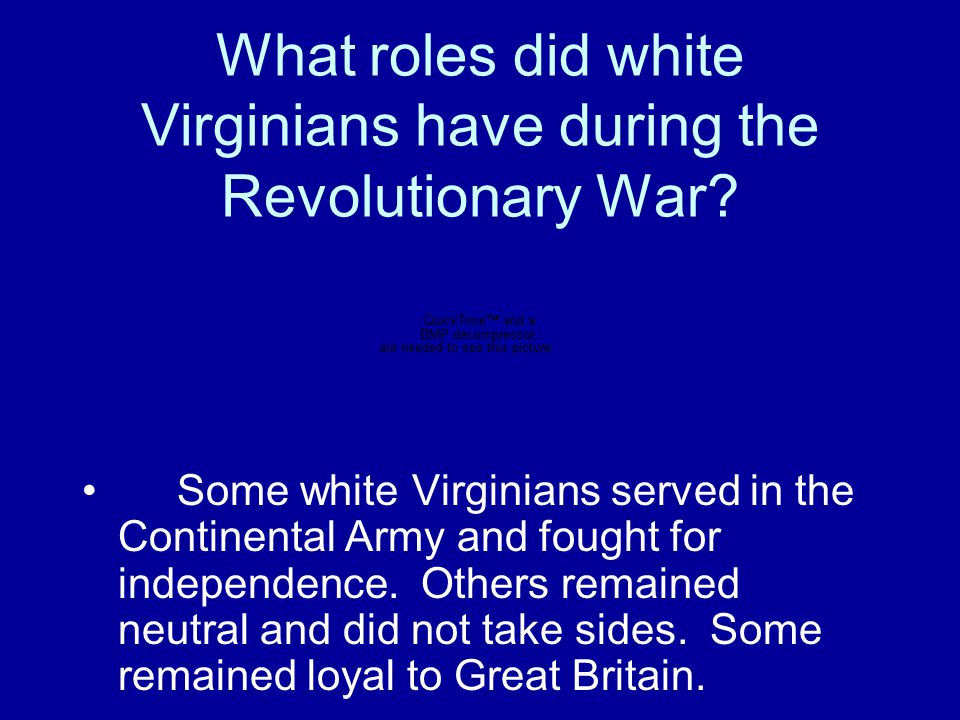 What roles did white Virginians have during the Revolutionary War