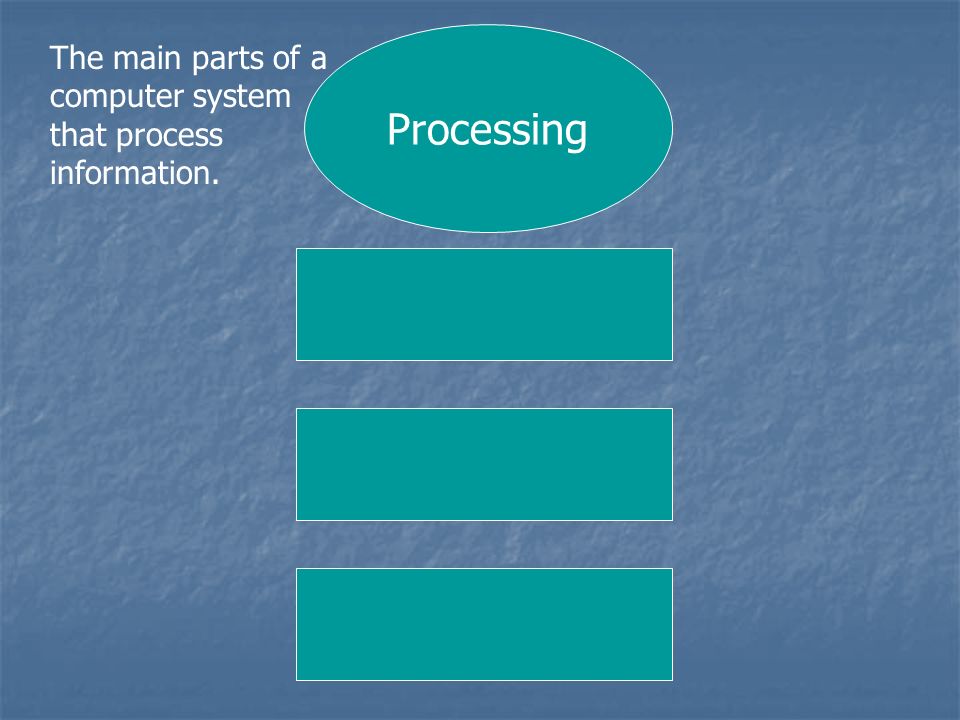 Processing The main parts of a computer system that process information.
