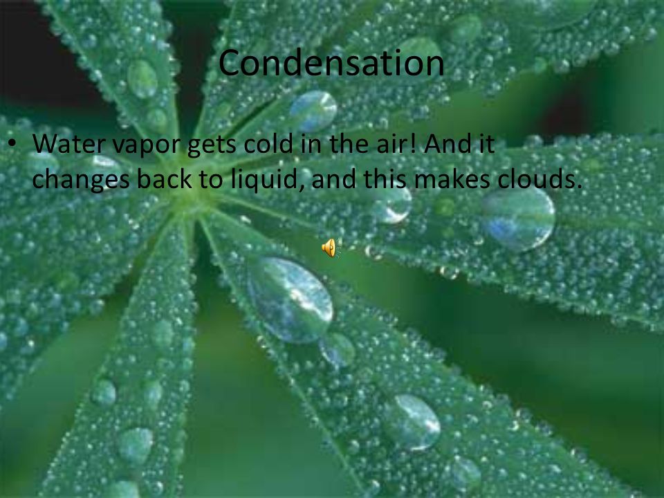 Condensation Water vapor gets cold in the air.
