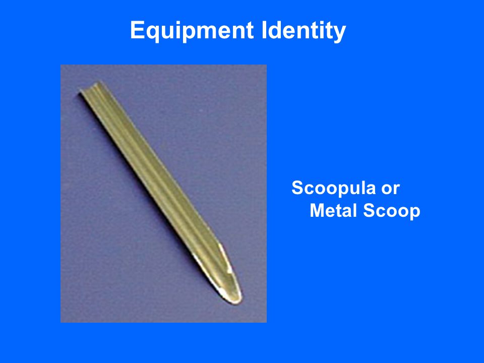 Equipment Identity Scoopula or Metal Scoop