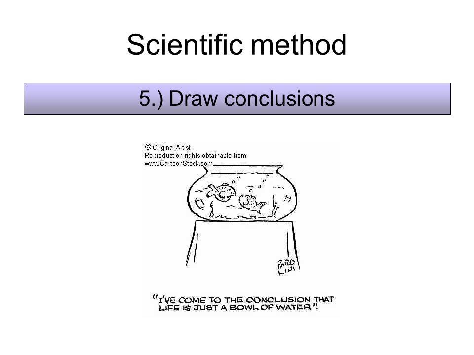 Scientific method 5.) Draw conclusions