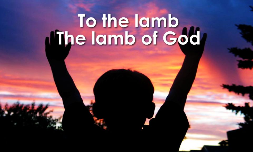 To the lamb The lamb of God