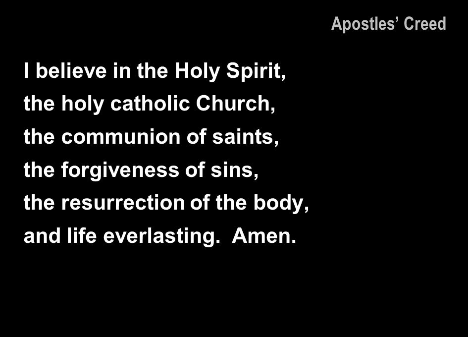 I believe in the Holy Spirit, the holy catholic Church,
