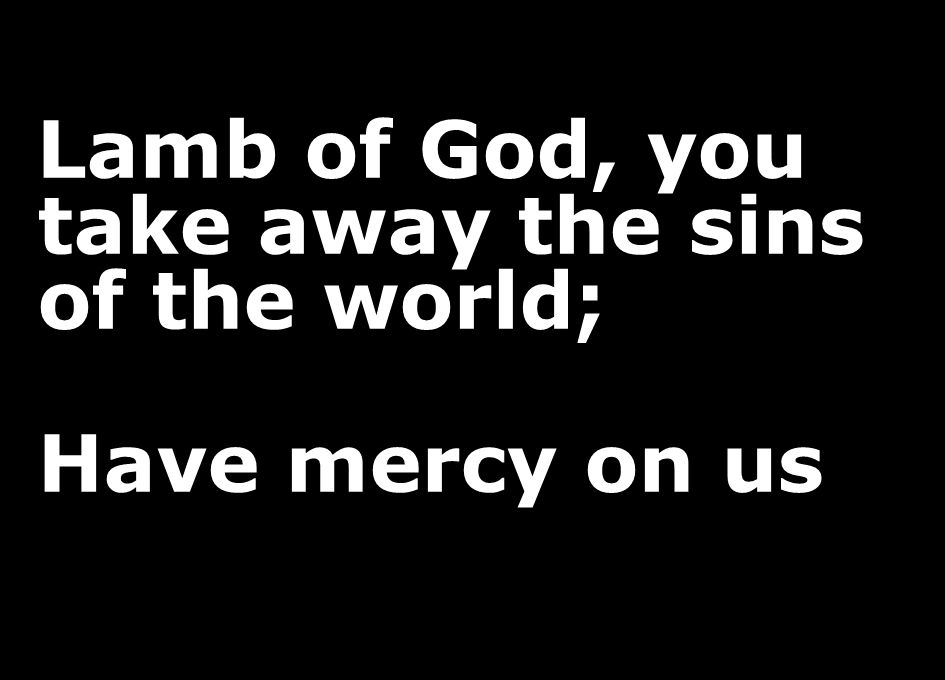 Lamb of God, you take away the sins of the world; Have mercy on us