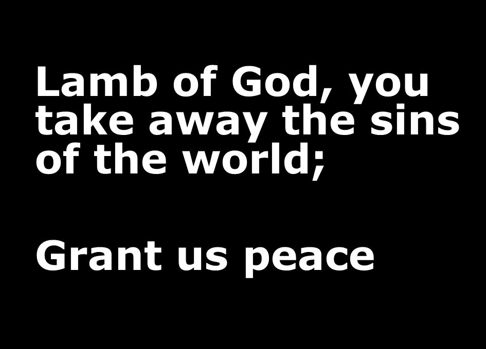 Lamb of God, you take away the sins of the world;