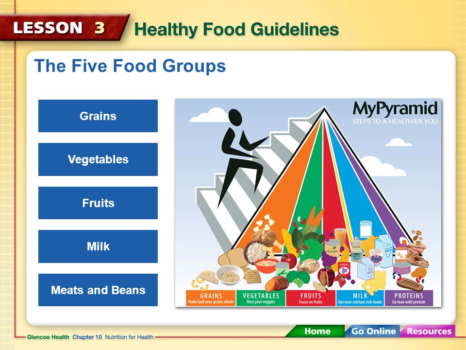 The Five Food Groups Grains Vegetables Fruits Milk Meats and Beans