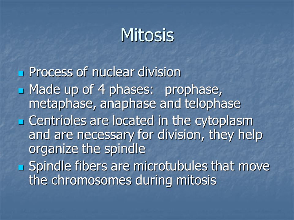 Mitosis Process of nuclear division