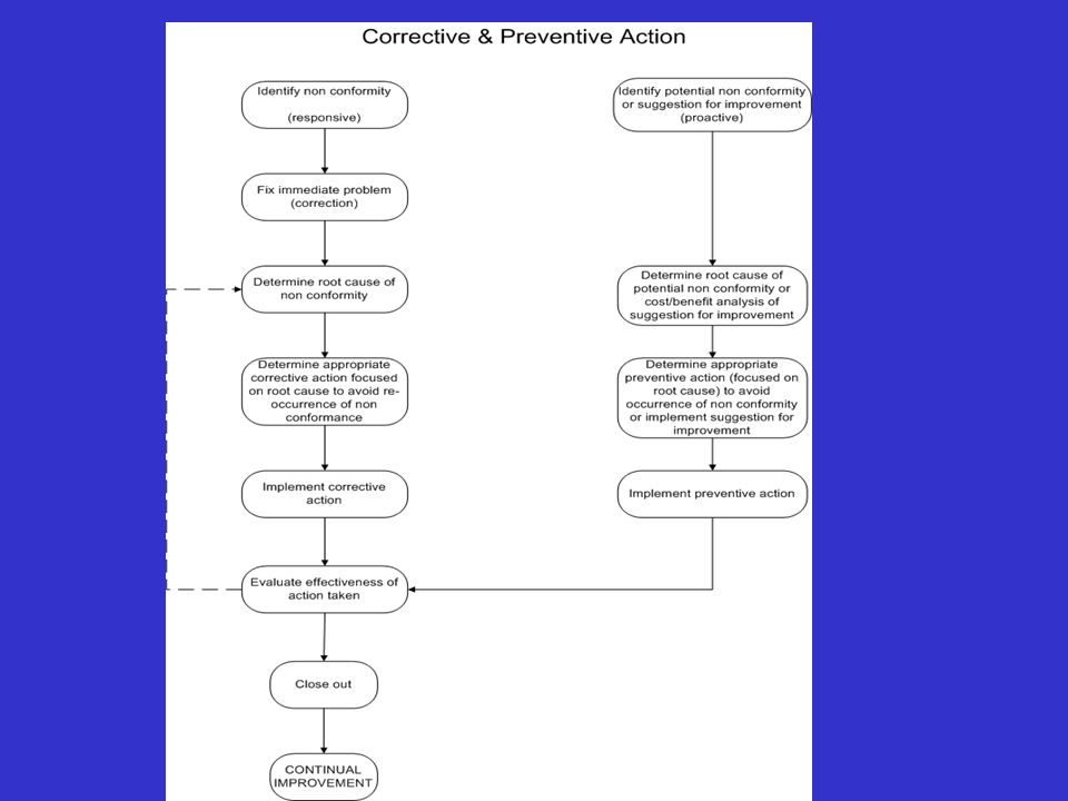 This shows a flowchart of the corrective and preventive action process