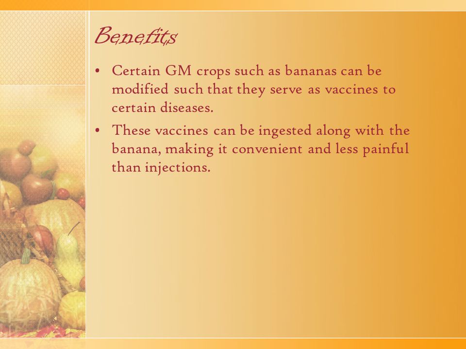 Benefits Certain GM crops such as bananas can be modified such that they serve as vaccines to certain diseases.
