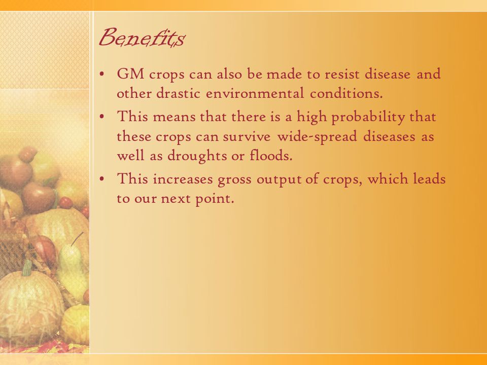 Benefits GM crops can also be made to resist disease and other drastic environmental conditions.