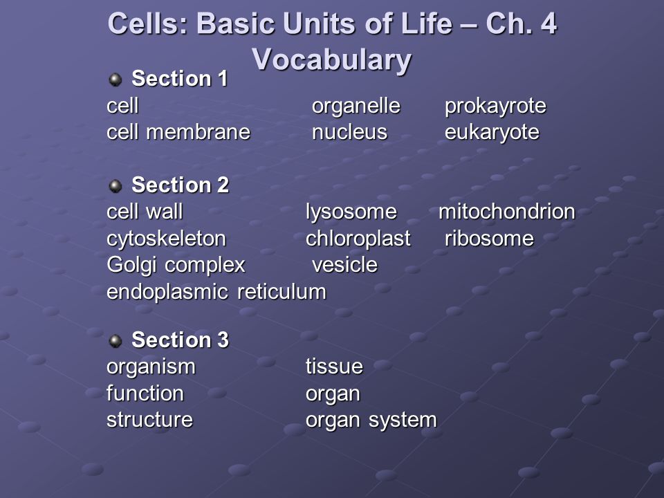 Cells: Basic Units of Life – Ch. 4 Vocabulary